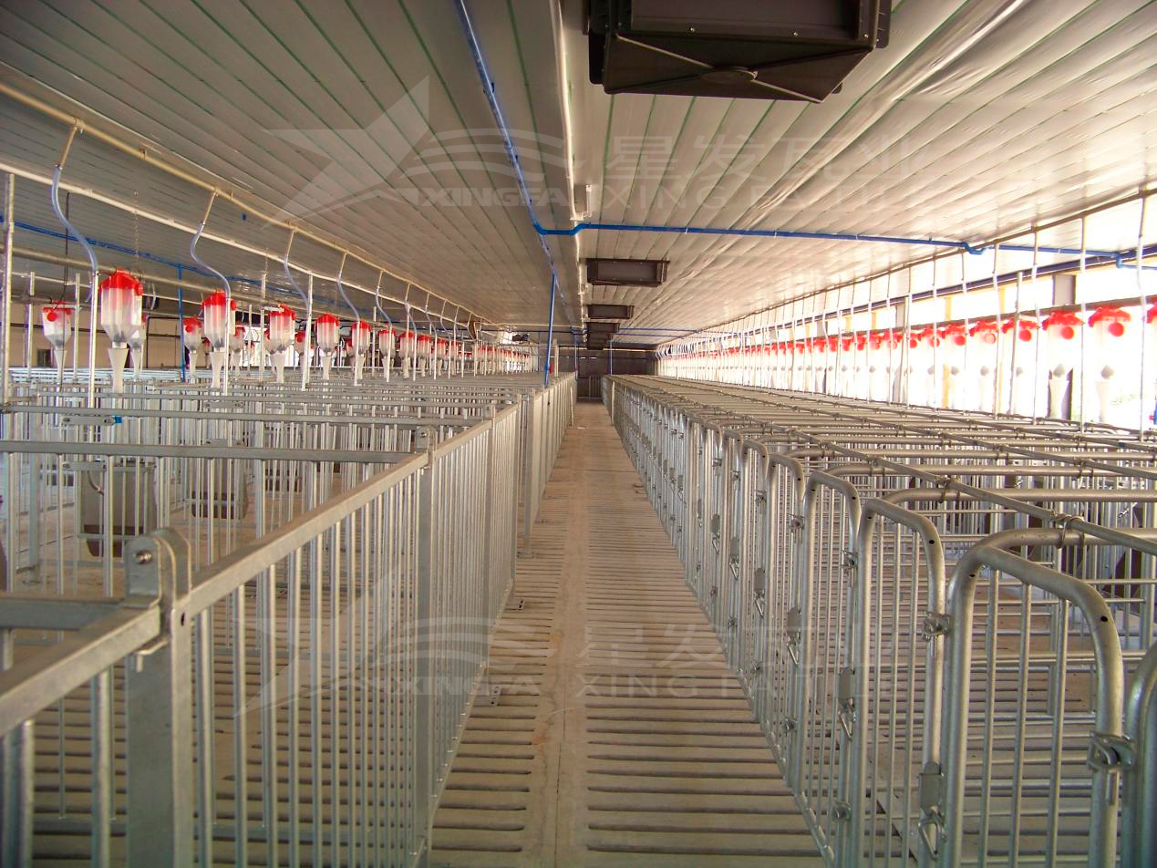 高溫來襲,養殖場安裝樹脂瓦,為小動物營造避暑勝地